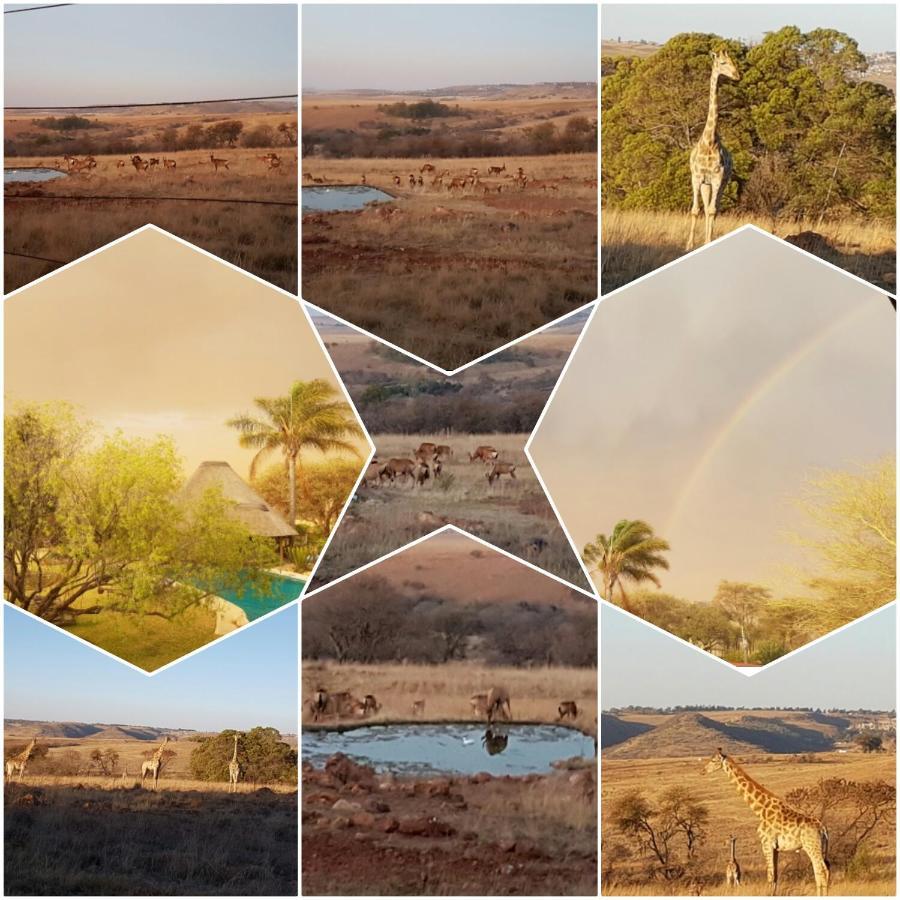 Rocky Aloe Escape Krugersdorp Exterior foto